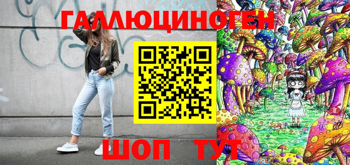 Псилоцибиновые грибы прущие грибы  Вход с VPN  Нарткала 